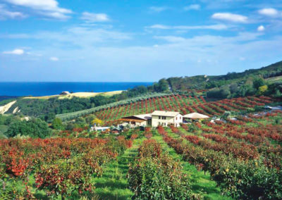 Italian agriculture the greenest in Europe Bella_Oceana